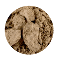 Brow Powder Blonde